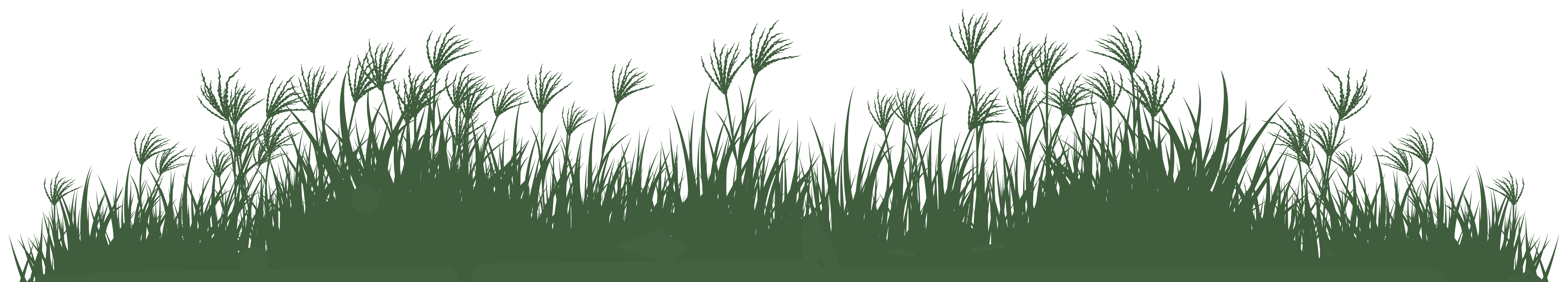 Grass background